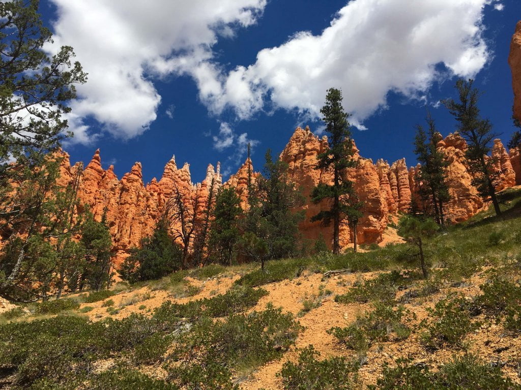 Il Bryce Canyon visto dal basso, lungo uno dei tanti sentieri che si possono percorrere. 