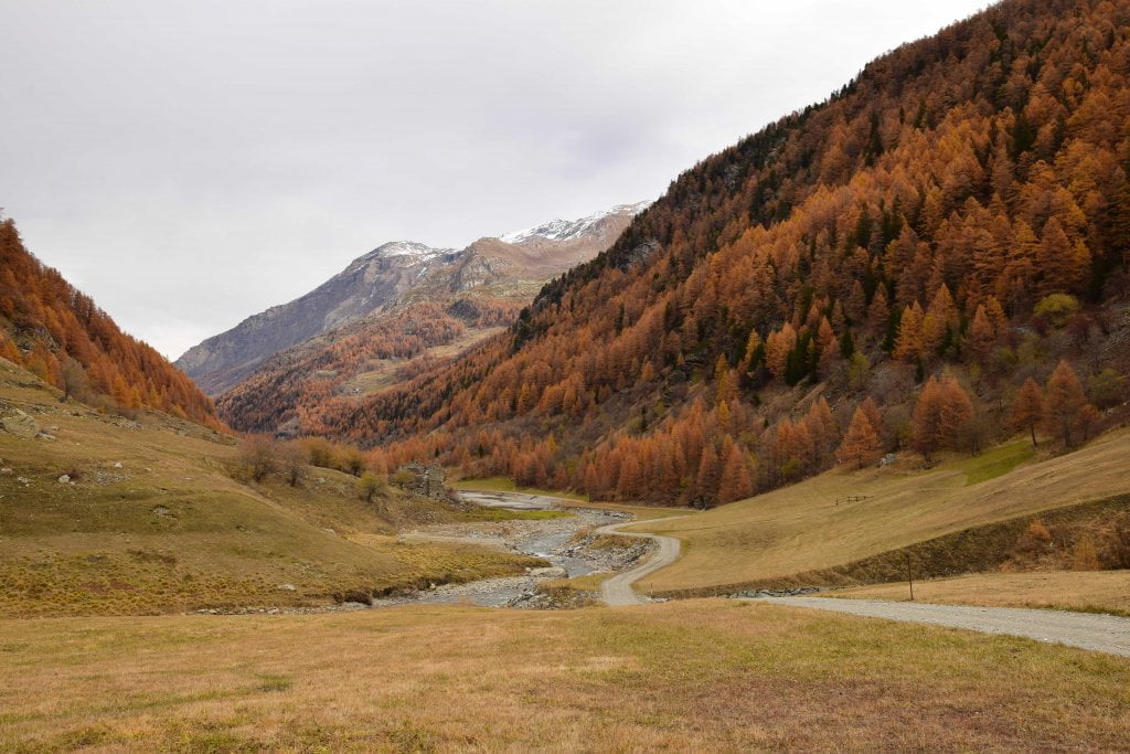 Le vallate più belle della Valle d'Aosta:  un'apertura della Valgrisenche con i colori dell'autunno.