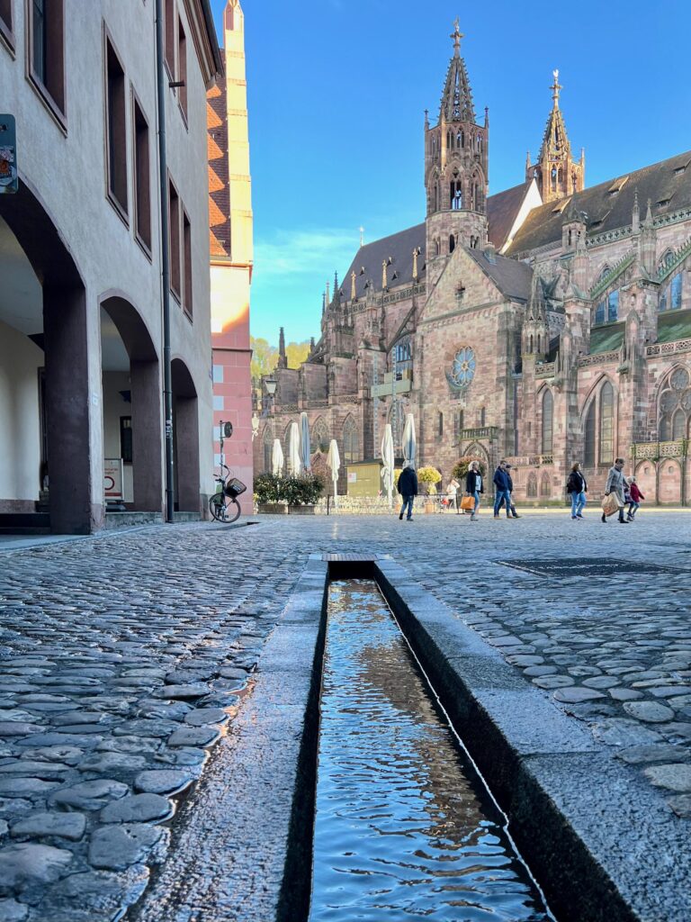 Cattedrale di Friburgo e un bâchle