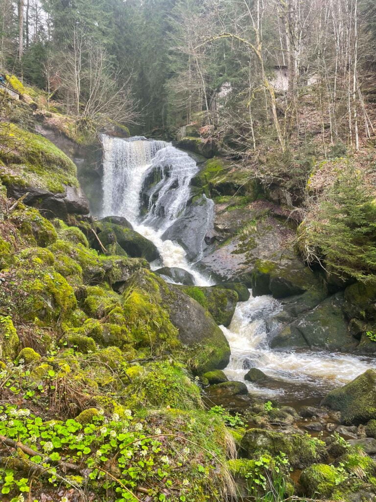 Cascate di Triberg