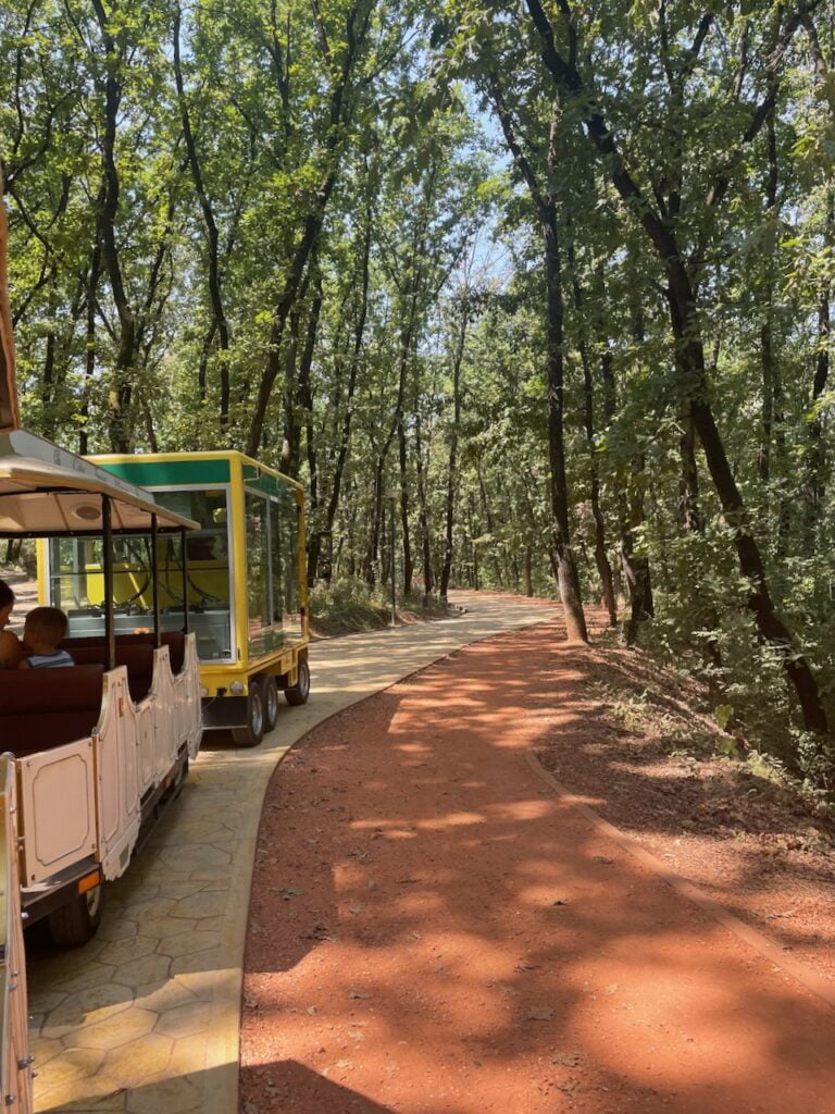 Trenino parco di Tirana